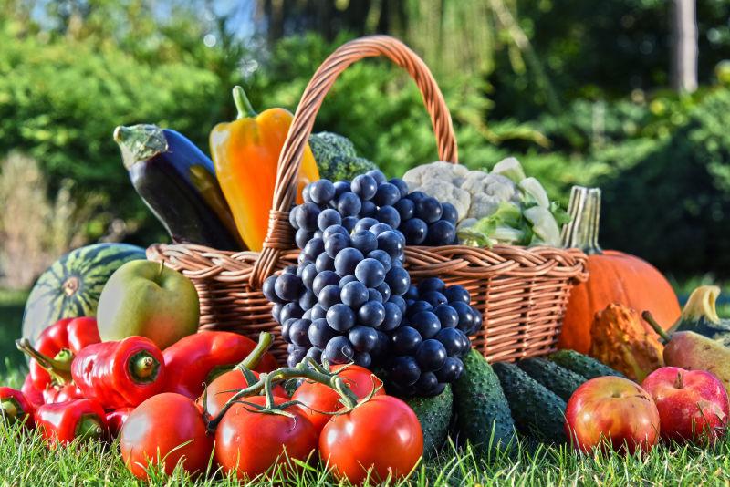 篮子里和草地上的新鲜有机蔬菜和水果