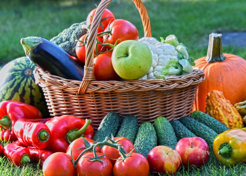 草地上篮子里的新鲜有机蔬菜和水果