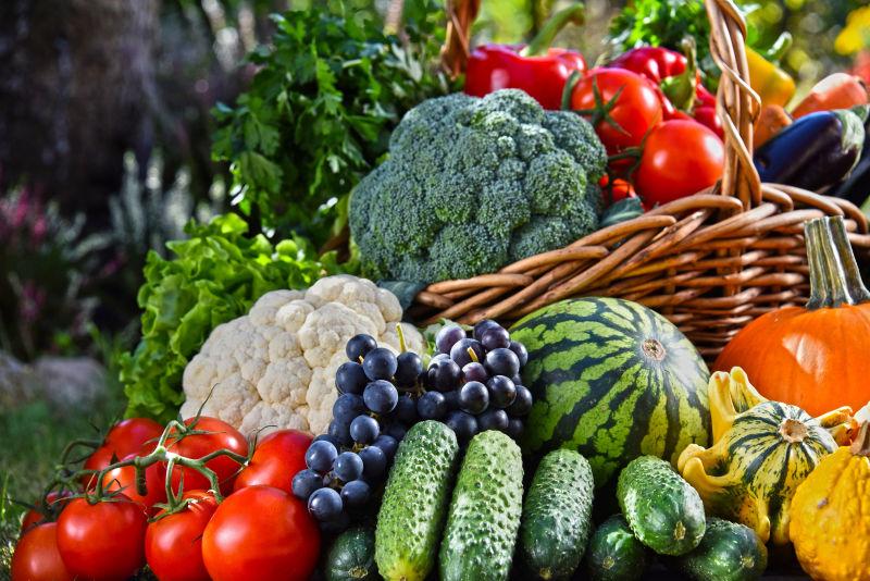 户外背景下的新鲜有机蔬菜和水果