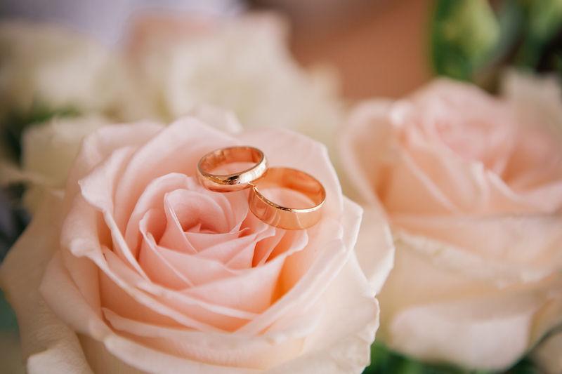粉色玫瑰花上的结婚戒指