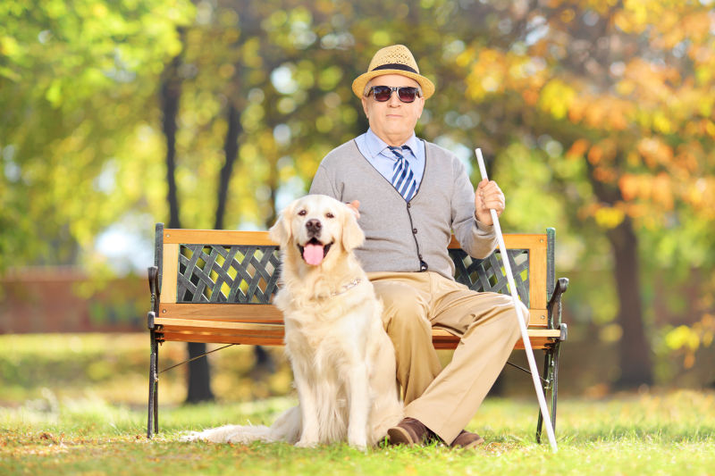 一位坐在长椅上和他的狗坐在一起的老瞎子