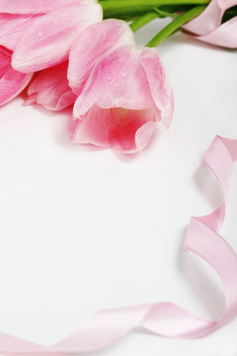 粉色丝带和百合花