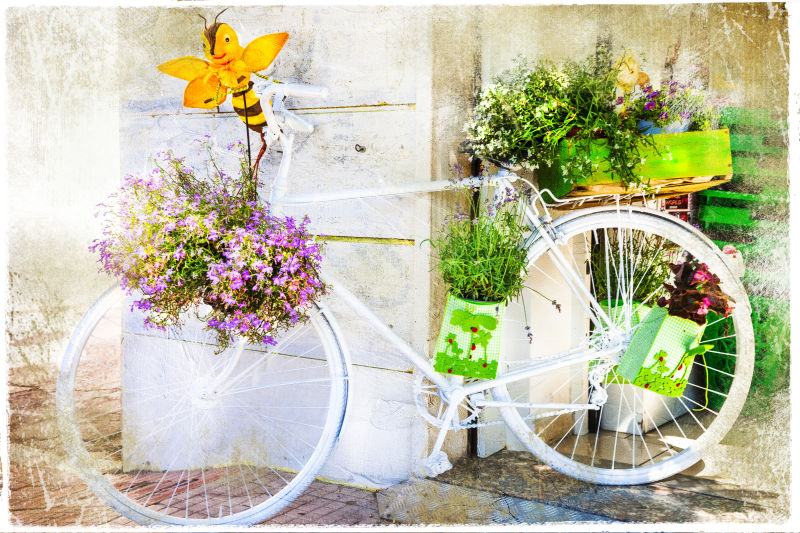 墙边的花卉自行车