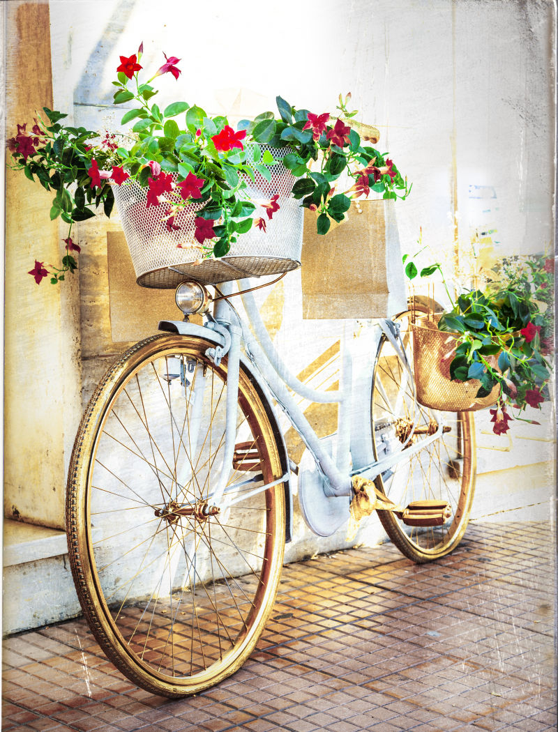 装着鲜花植物的自行车