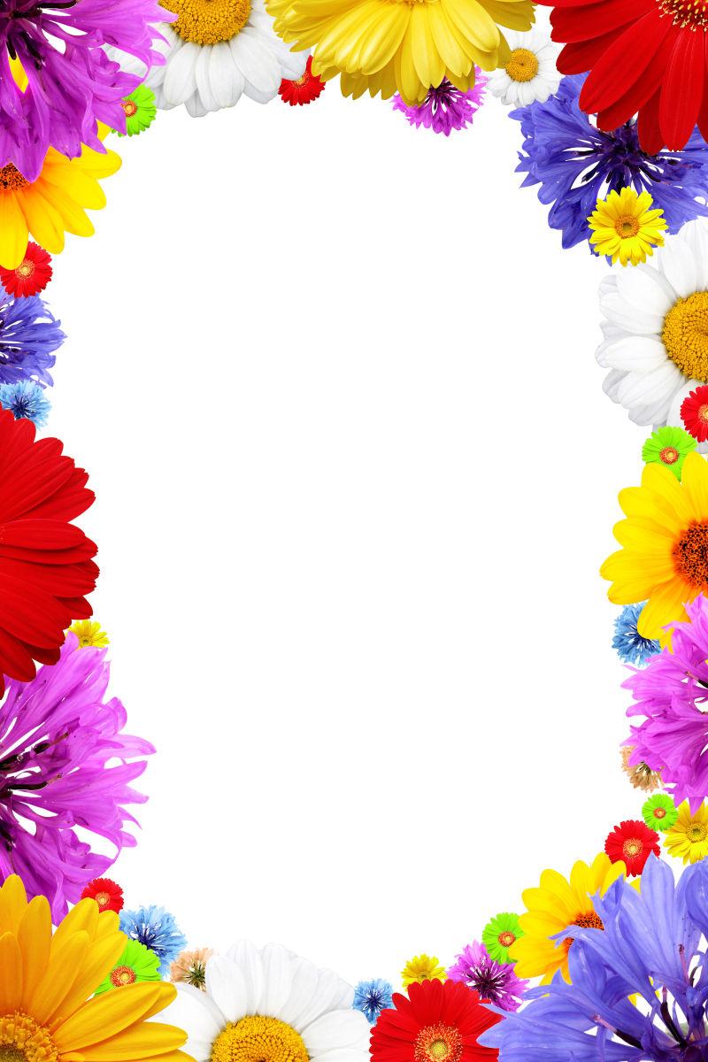 白色背景下的多彩夏日花框架背景