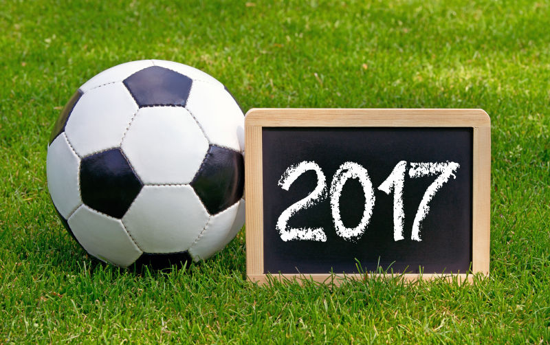 足球2017 皮革球在绿色的草地上