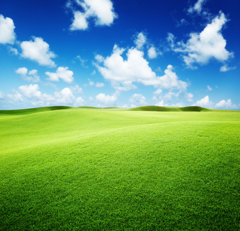 嫩绿的草地和蓝天白云