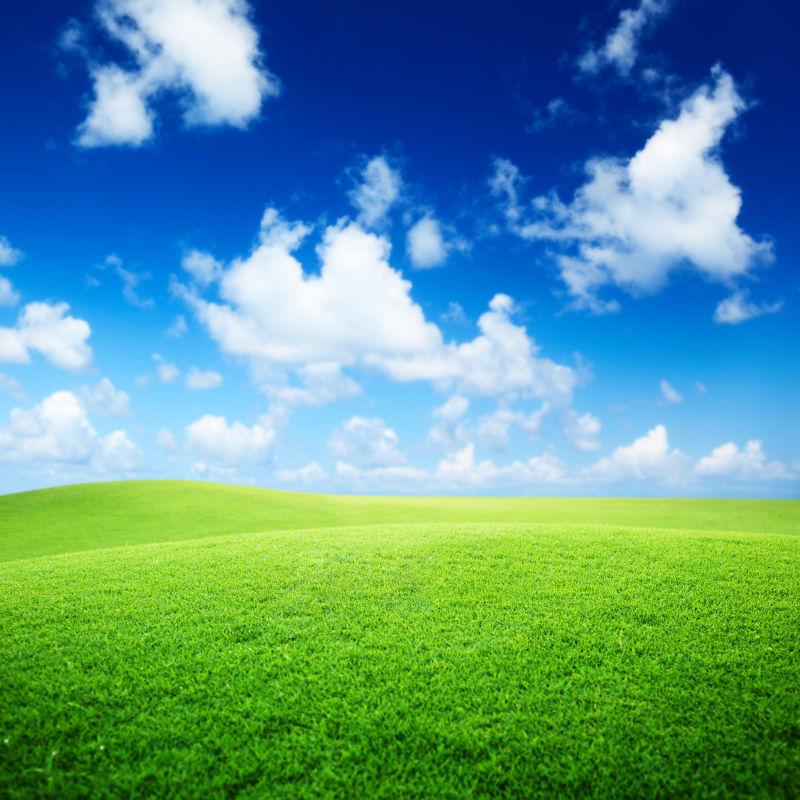 美丽的蓝天白云和草地