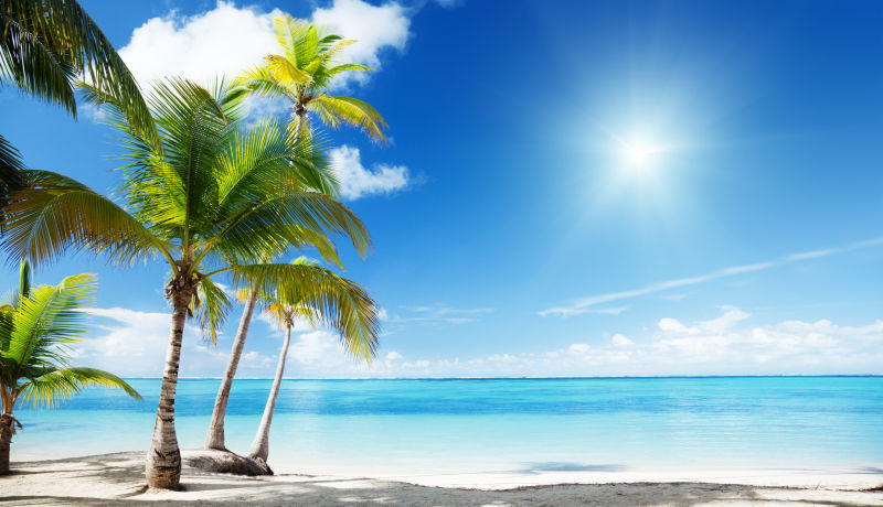 热带海滩与椰子风景