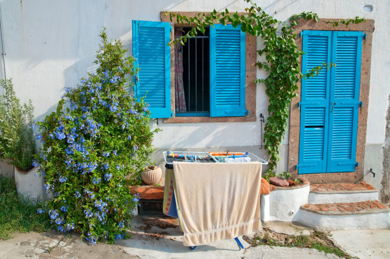 乡村别墅门口的落地衣架和蓝色鲜花植物