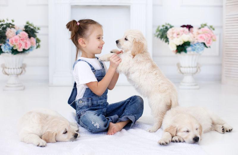 小女孩和她的三只狗狗