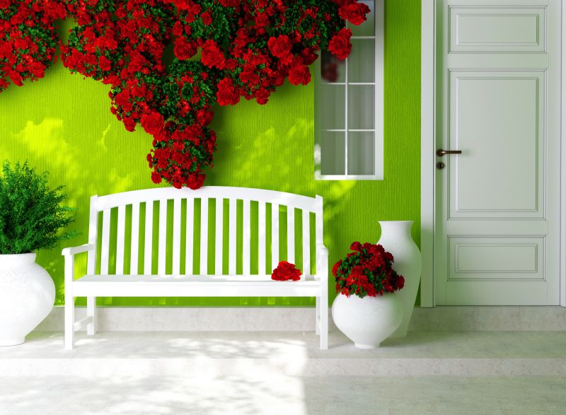 绿色屋子外的长凳和红玫瑰