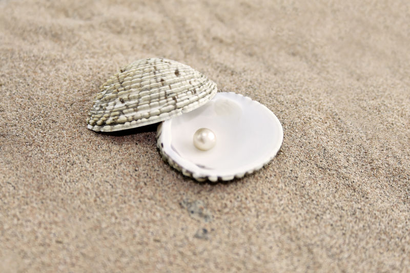 沙滩上贝壳里的珍珠