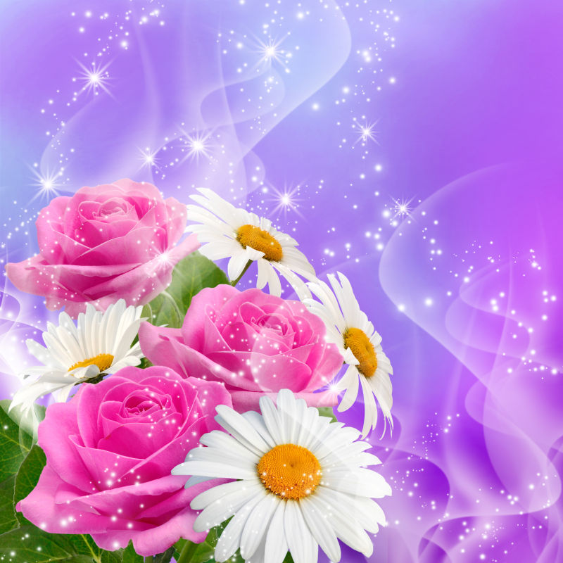 紫色梦幻背景前的粉色花朵和白色菊花