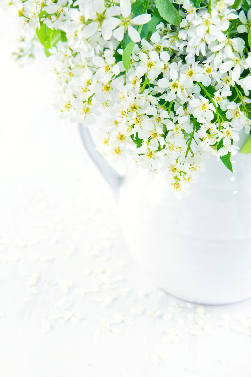 白色小花瓶里的美丽小花
