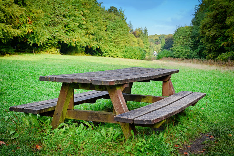 森林草地上的木桌