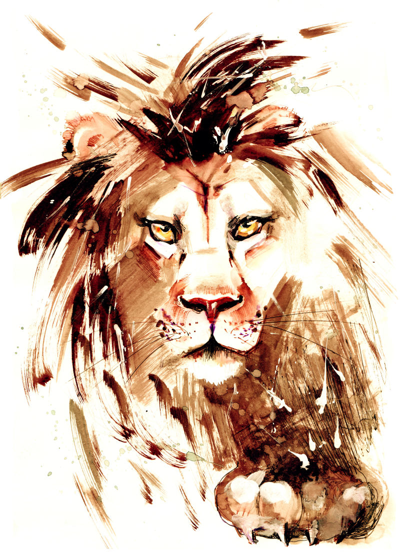 狮子水彩画