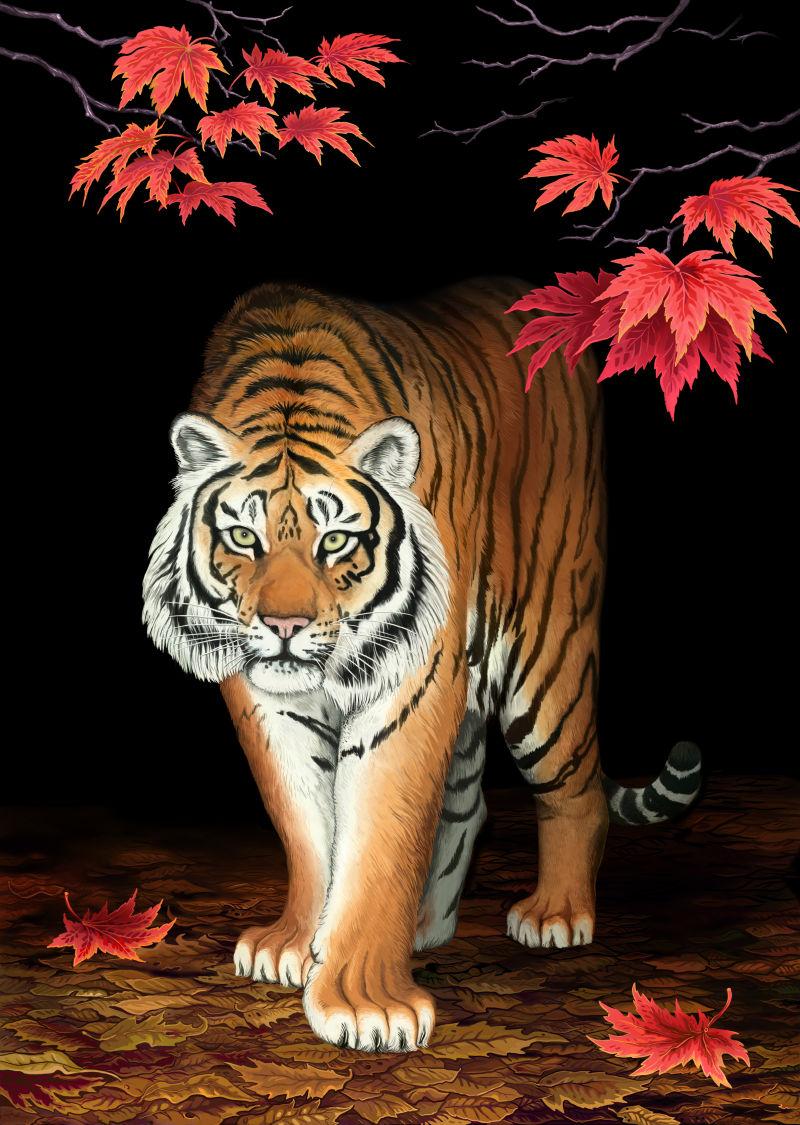 在秋天绘画的一只阿穆尔虎与枫叶