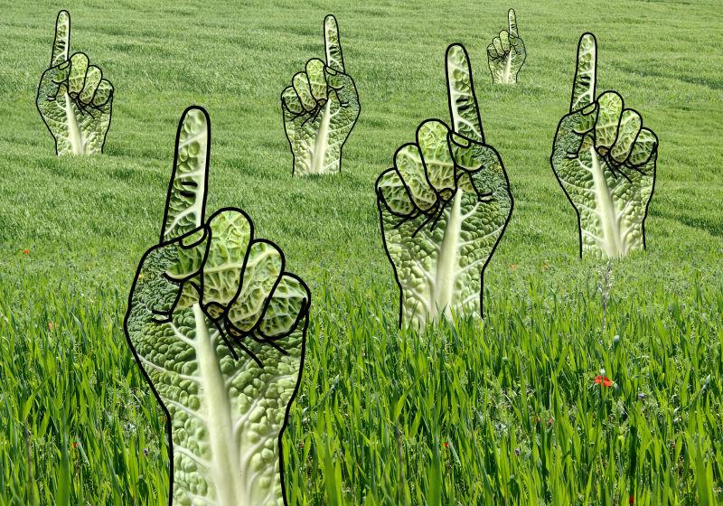 草地上的绿色指尖