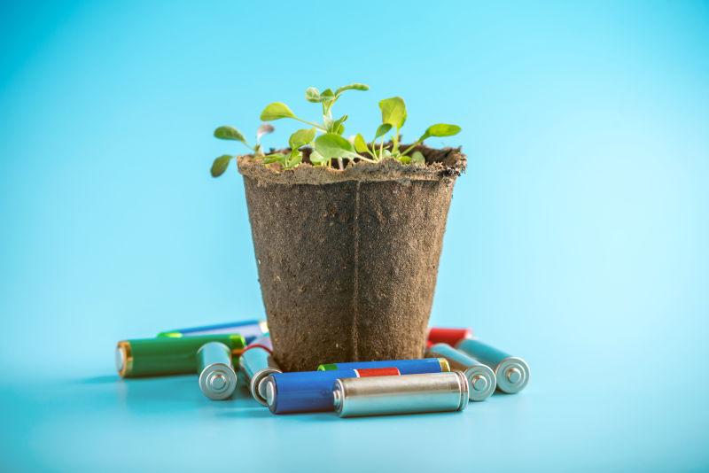 使用的碱性电池与发芽的绿色植物