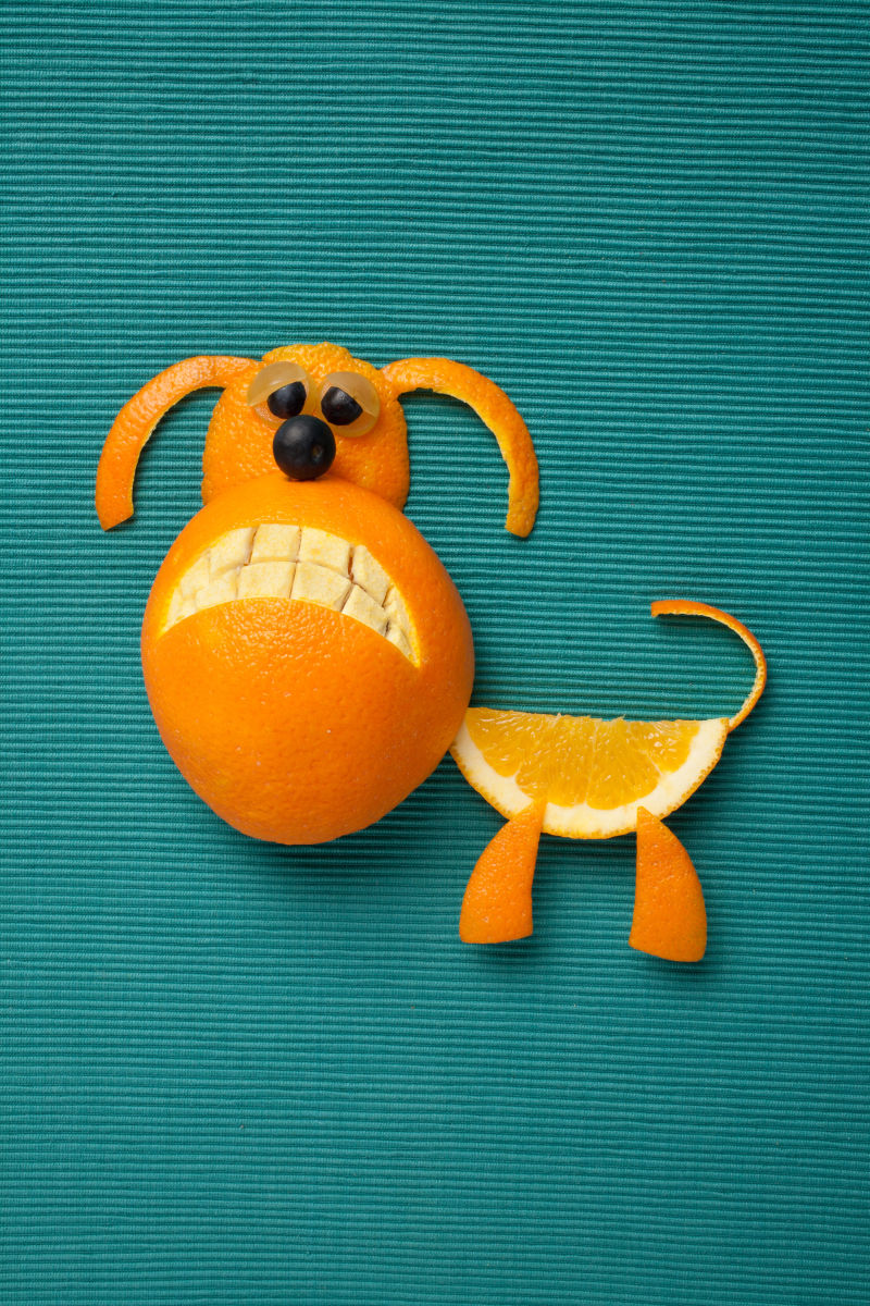 橘子搭成的可爱的小狗