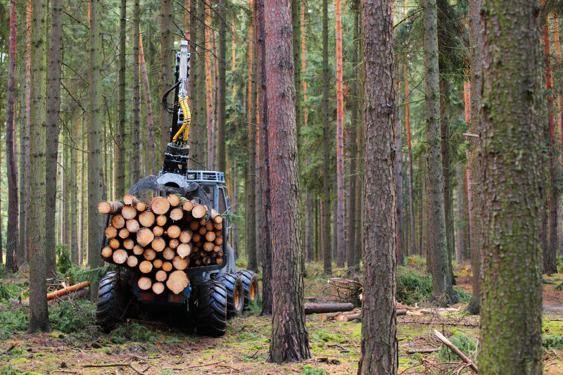 森林树木收割机