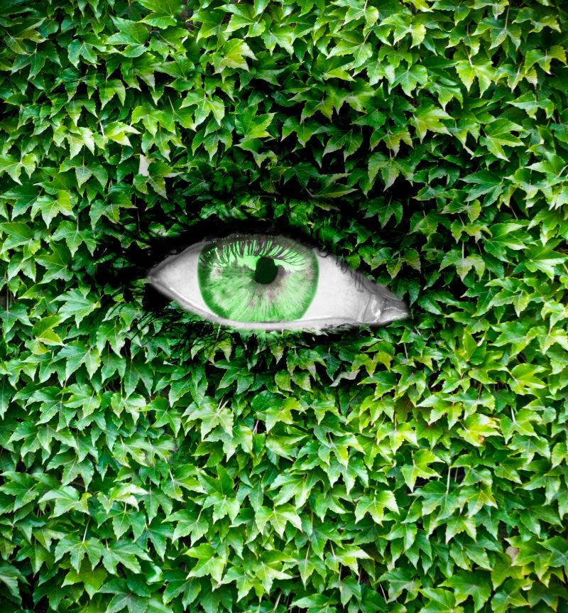 在眼睛周围贴满绿色树叶的创意
