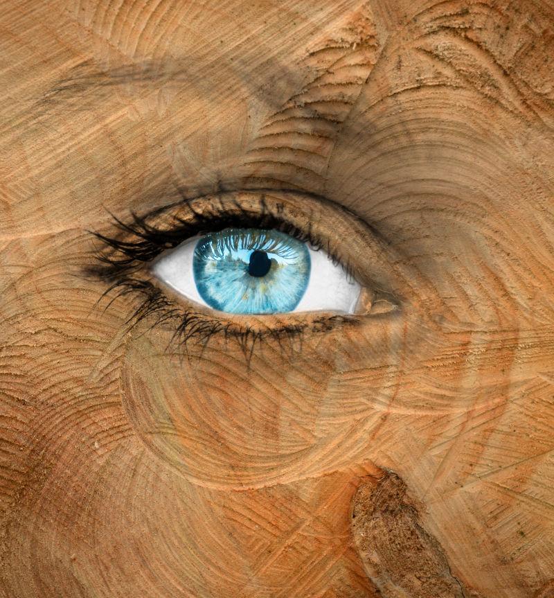 画满木头纹理的眼睛创意