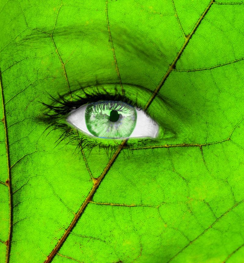 周围画着绿色树叶的眼睛创意