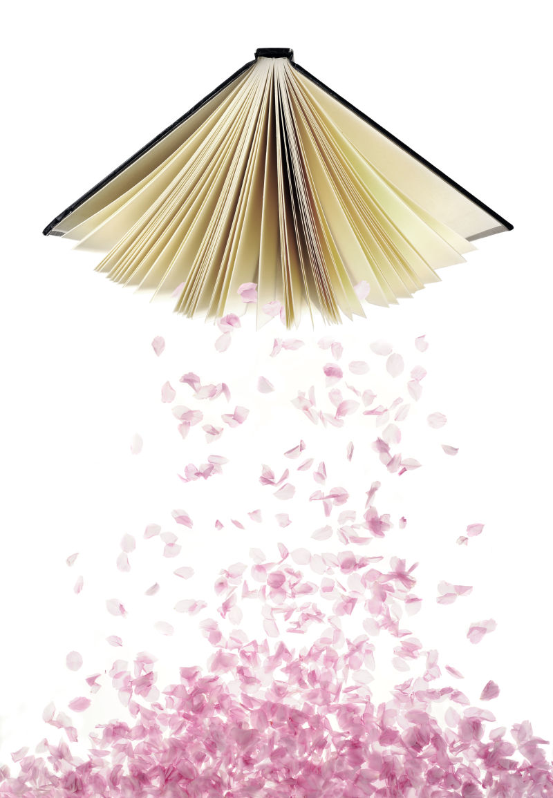 书上掉落的美丽的粉红花瓣