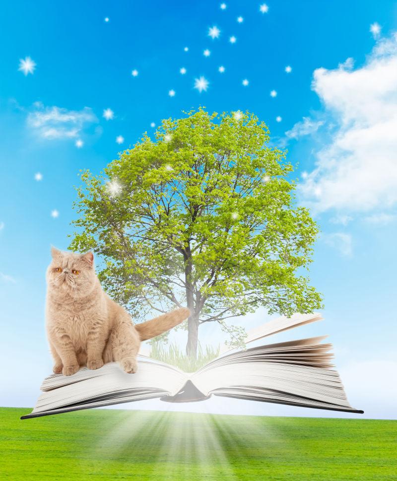 神奇的书带着一棵绿树和猫