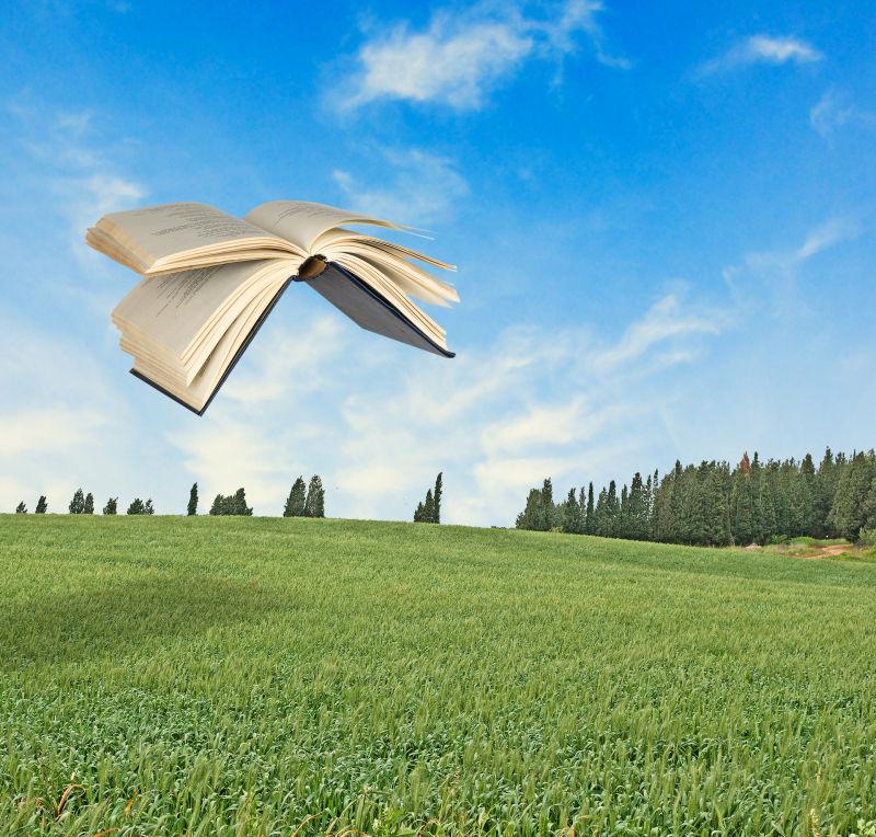 绿地上飞行的书