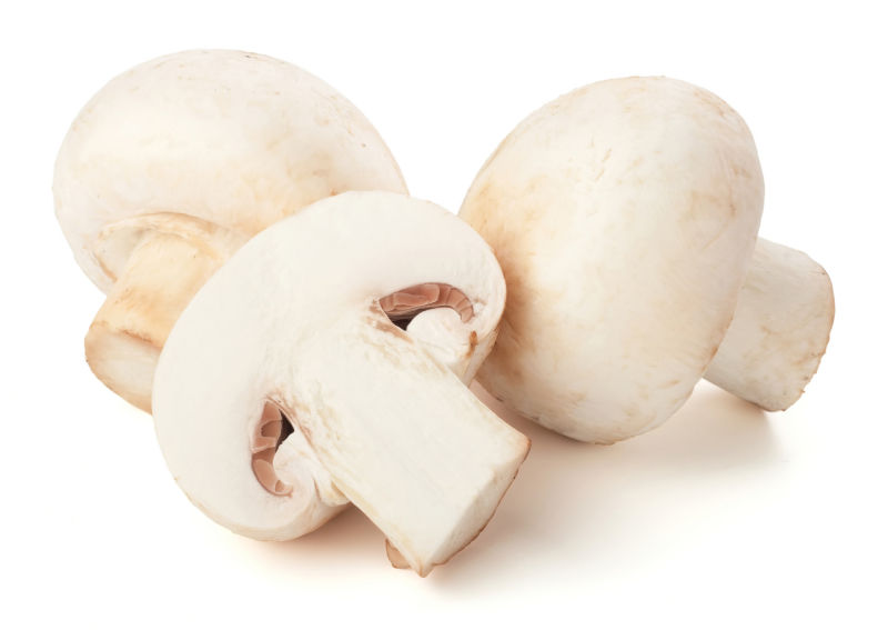 白色背景前的新鲜蘑菇