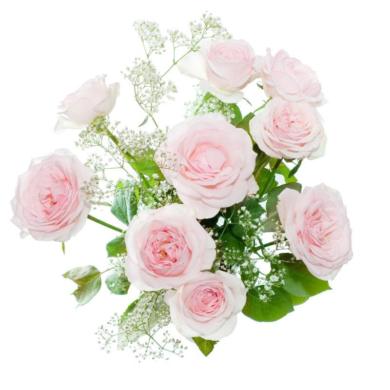 白色背景上集美丽的玫瑰上花束