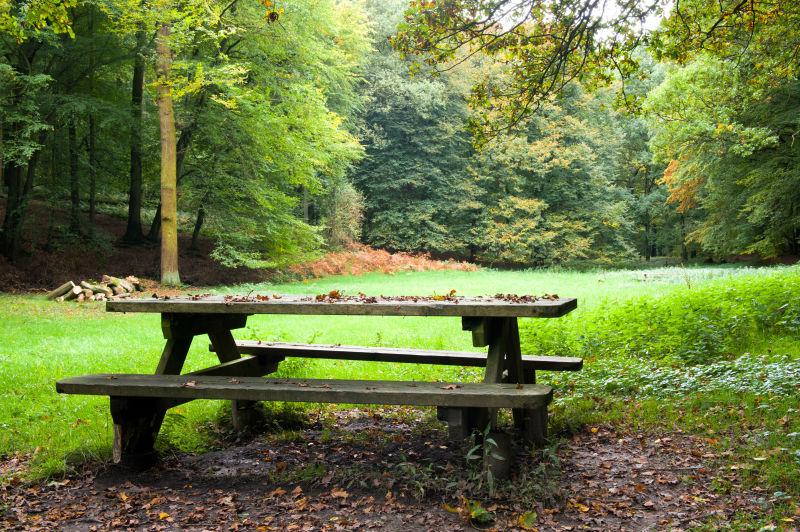 绿色森林背景下的野餐桌子
