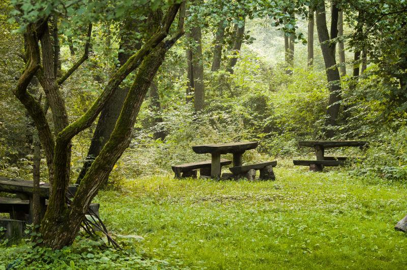 绿色户外的有桌椅的野餐地