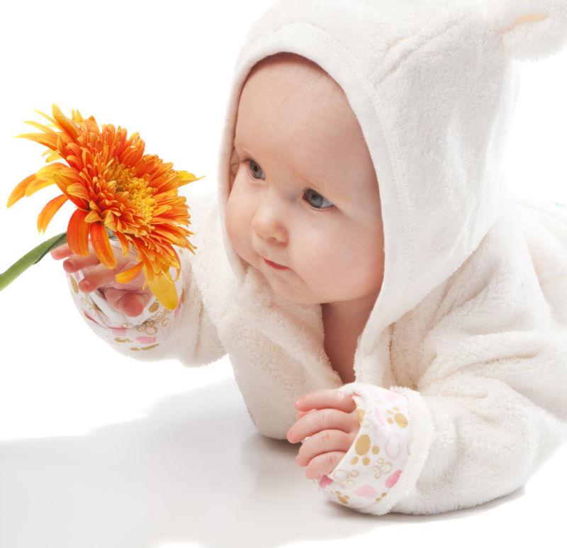 白色背景中拿着花的开爱小宝宝