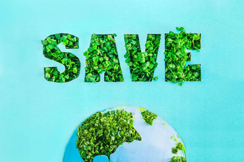 拯救绿色地球
