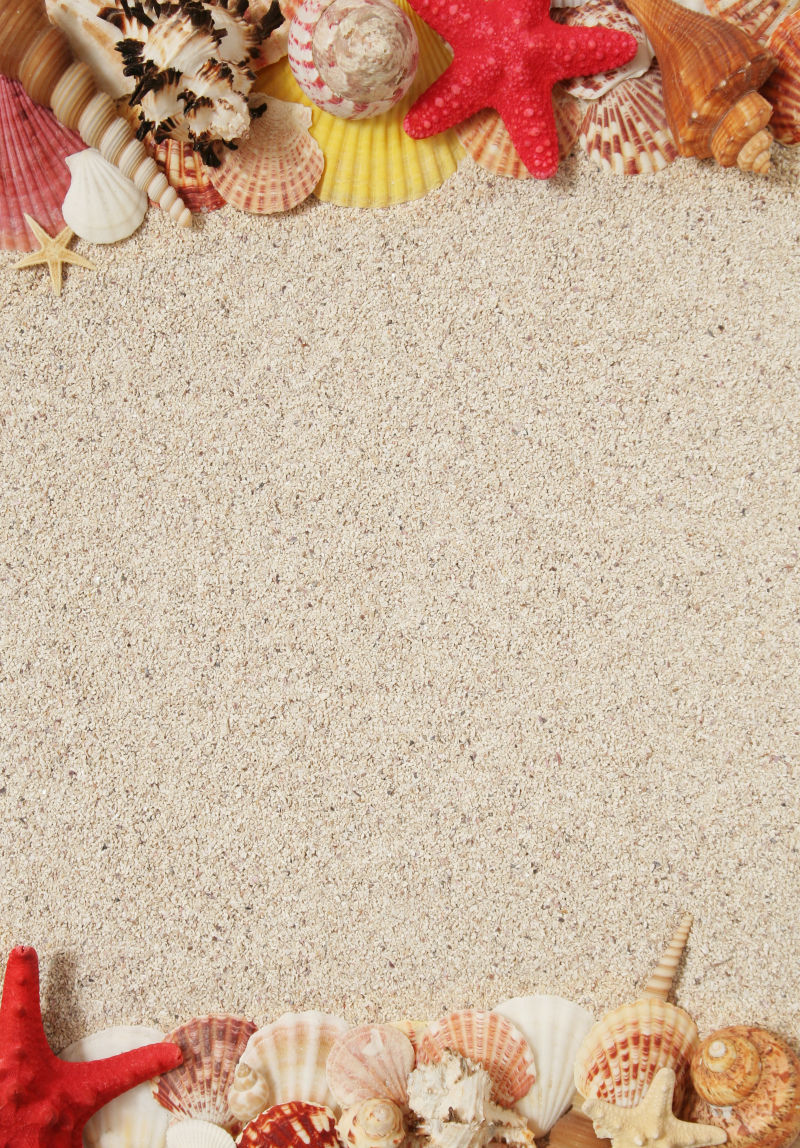 沙子背景上下的海星与海螺