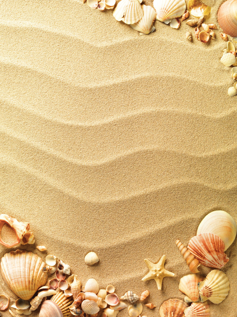 波浪形沙面与贝壳