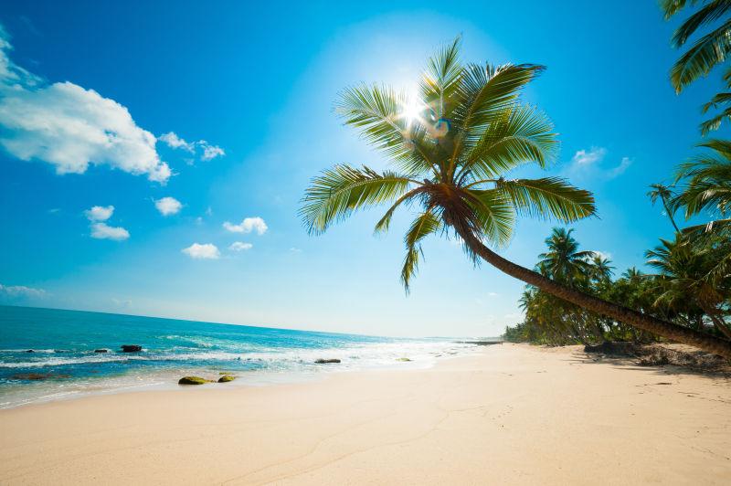 斯里兰卡未经触摸的热带海滩