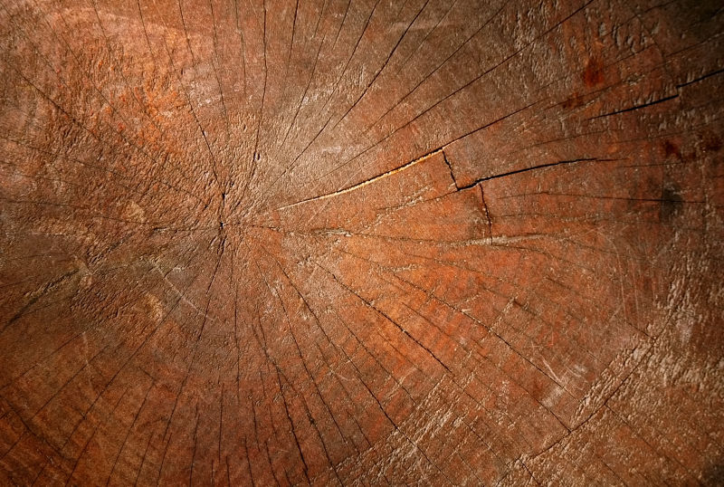 棕色老旧木桩背景