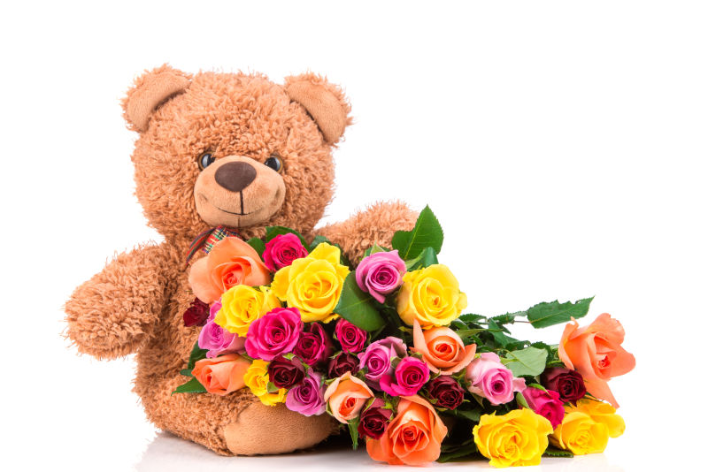 泰迪熊与玫瑰