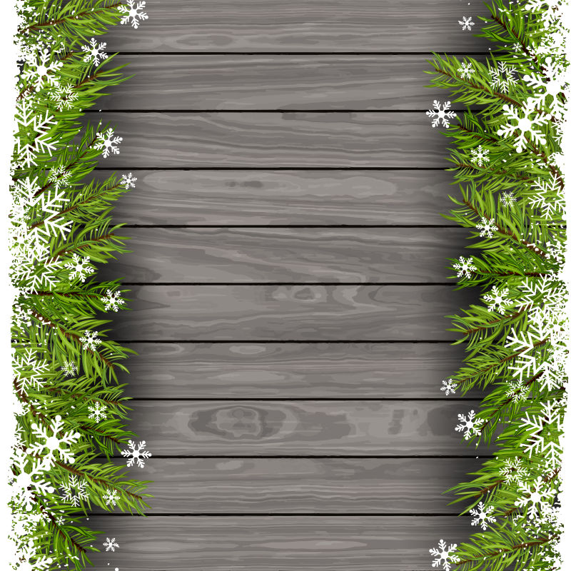木制圣诞树枝矢量插图