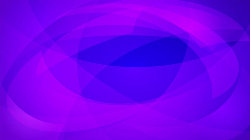 矢量紫色曲线抽象背景