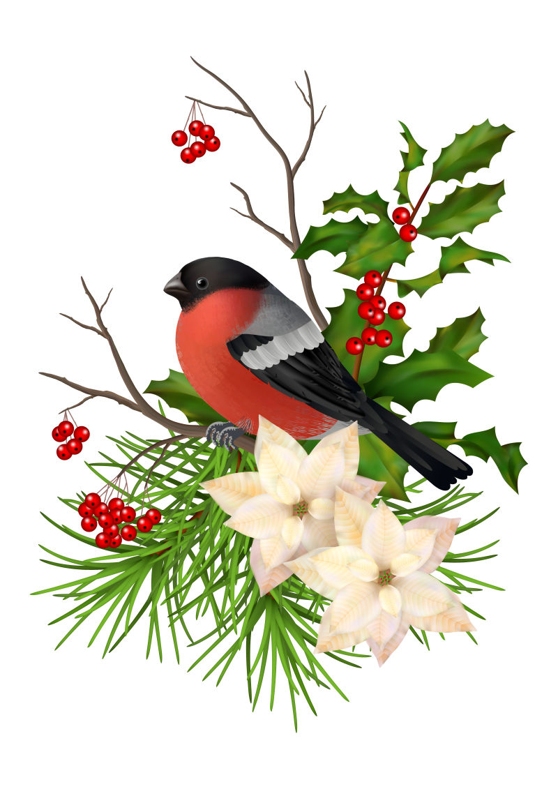 矢量圣诞节红色浆果和小鸟贺卡设计