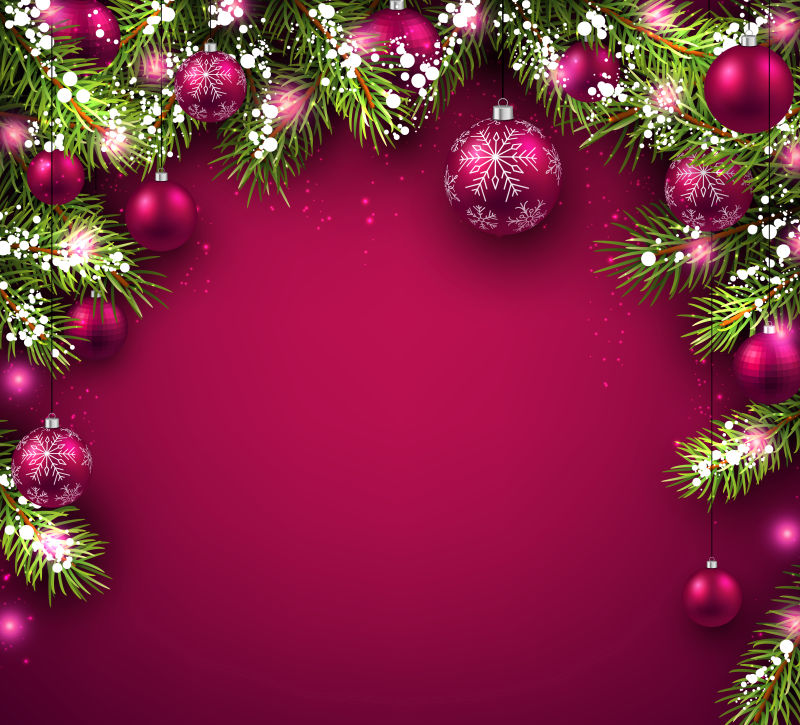 紫红色圣诞球和杉木树枝矢量图