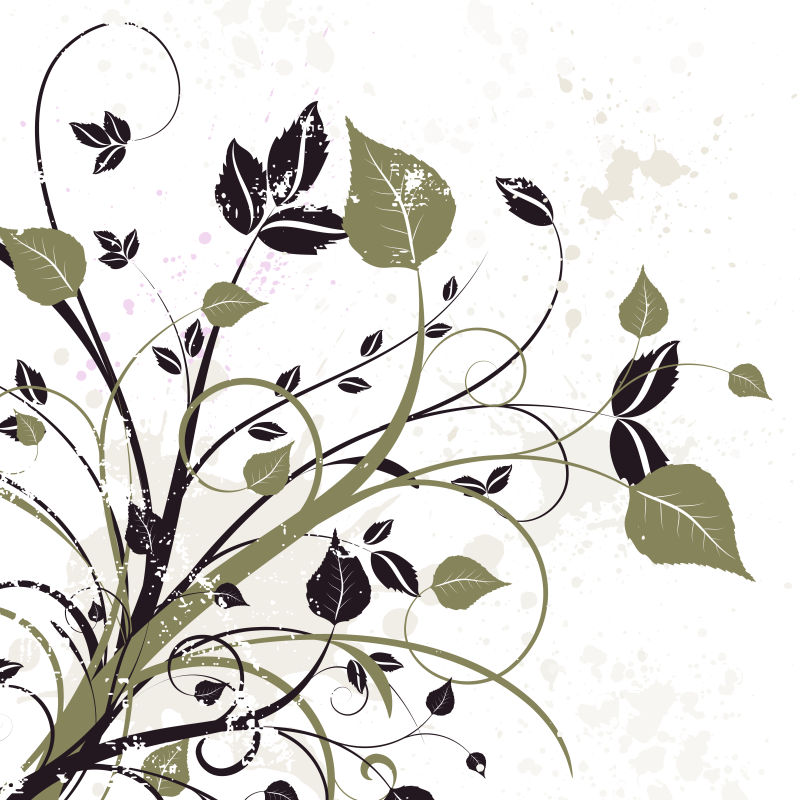 手绘矢量植物装饰边框设计