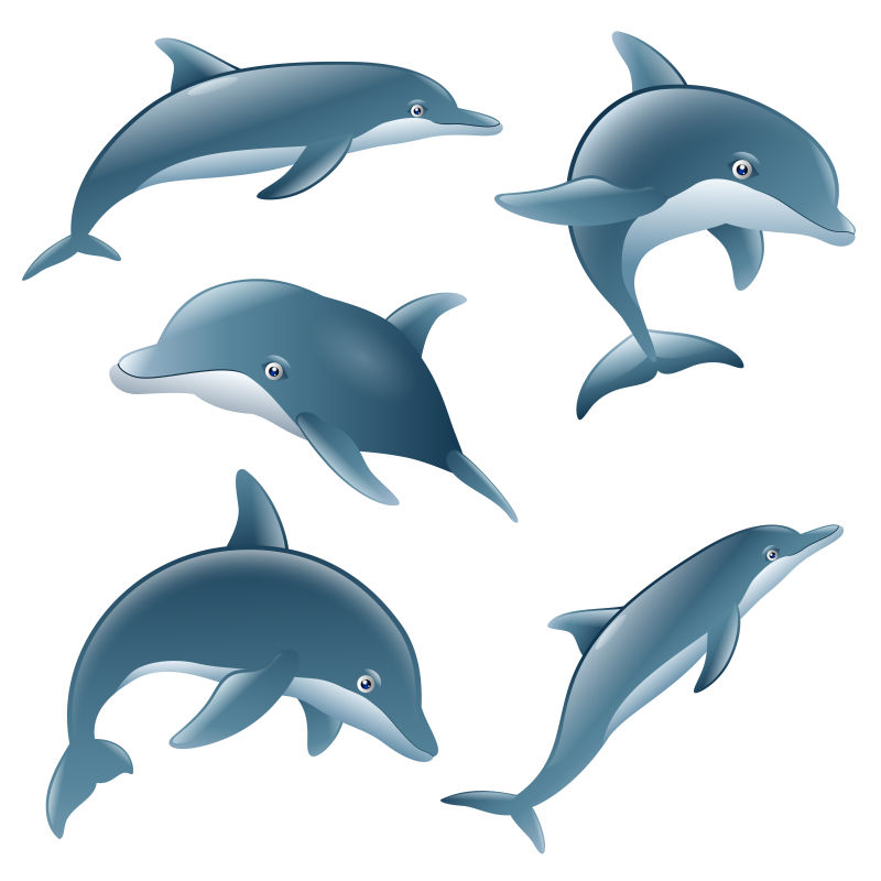 五只海豚卡通矢量图