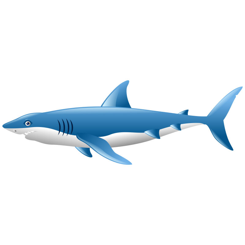 大白鲨矢量卡通图
